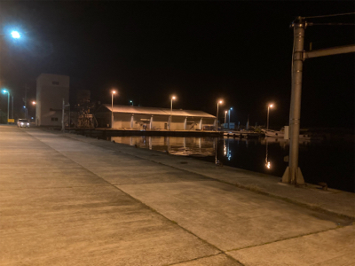 常夜灯目掛けてメバリング