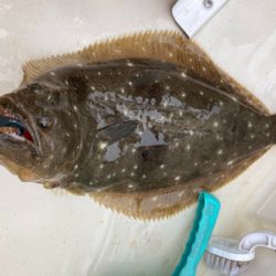 スーパーライトジギング