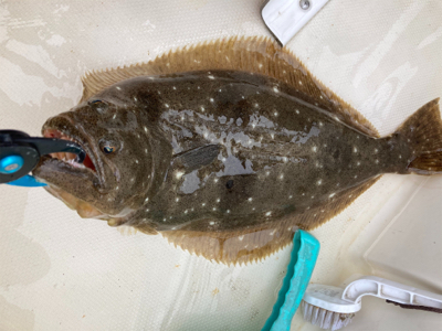 スーパーライトジギング