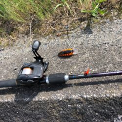 バス釣りのはずが・・・