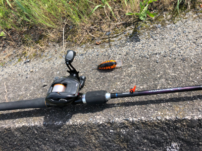 バス釣りのはずが・・・