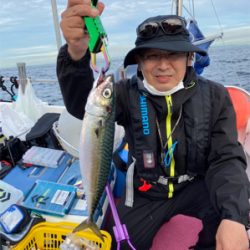 夜もアカン（苦笑）