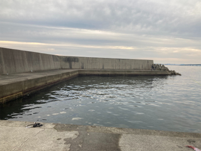 ガシラ、小サバ多数