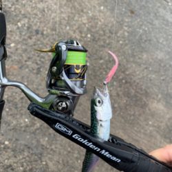 梅雨空のサバゲーム