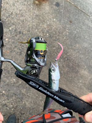 梅雨空のサバゲーム