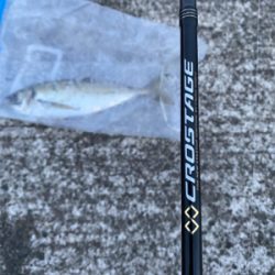 エギングからのアジング