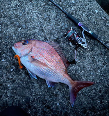 ガシリングレッド！！