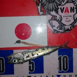 アジング練習　303　椅子を忘れました