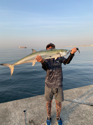 メーターサワラ、ブリ