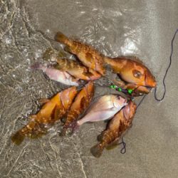 ゴムボート釣行！