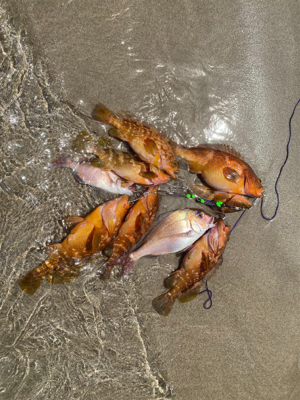 ゴムボート釣行！