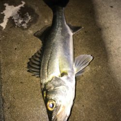 サイズが伸びない(>_<)