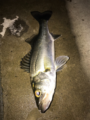 サイズが伸びない(>_<)