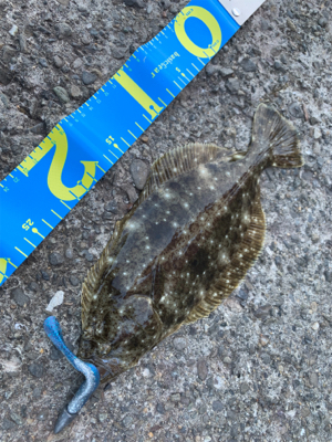 デイライトゲーム