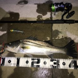 バラしまくり(>_<)