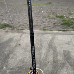 夕まずめのアジング