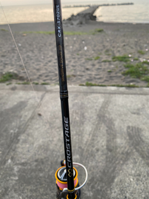 夕まずめのアジング