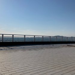 なかなかの強風で