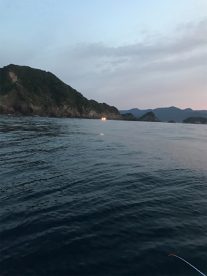 バチコンアジング