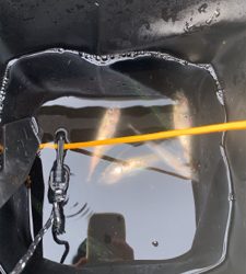 豆サバ大量発生！！