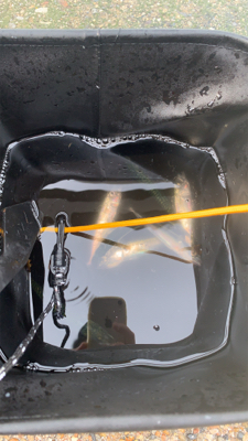 豆サバ大量発生！！