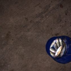 台風並みの強風