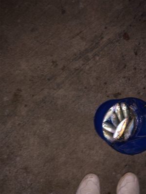 台風並みの強風