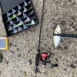 なんとか数だけは…