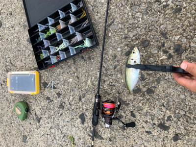 なんとか数だけは…