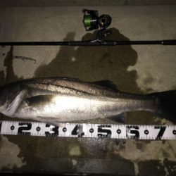 ランカーきたぁー(=゚ω゚)ノ