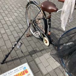 青物ターゲットが・・・