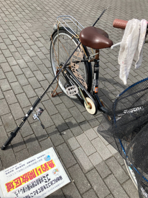 青物ターゲットが・・・