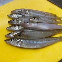 アオリ＆キス！