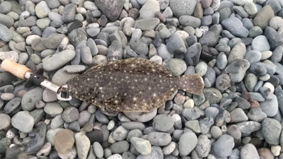 コロナ明け、久々のフラットです