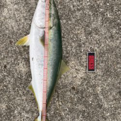 先週の借りを返しに