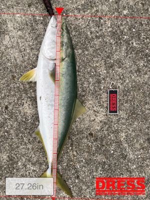 先週の借りを返しに