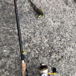 マイクロジグ釣行