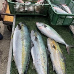 じゃのひれフィッシングパークさんにて