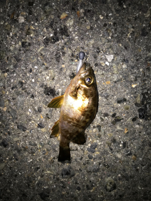 レンジ下げ気味