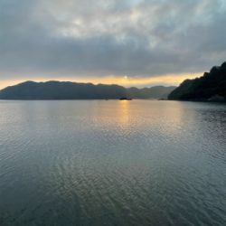 まだまだシーズンははやいのかな