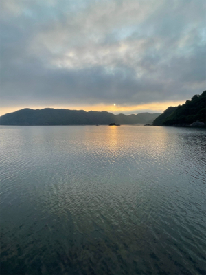 まだまだシーズンははやいのかな