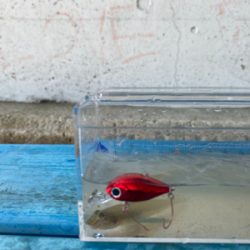 淀川ハゼクラ　濁りはダメ