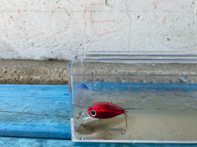 淀川ハゼクラ　濁りはダメ