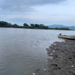 シャローでボイル