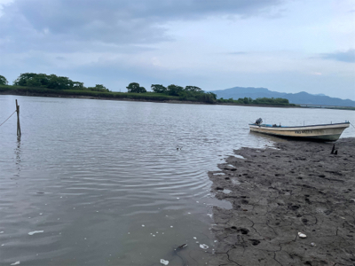 シャローでボイル