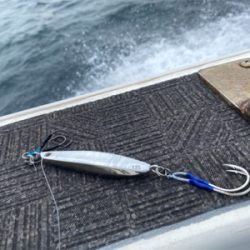 イワシパターン