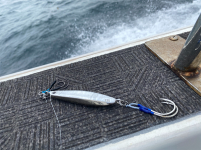 イワシパターン