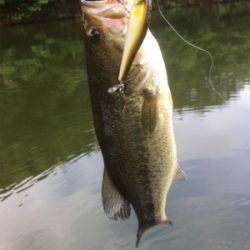 そろそろ厳しい季節