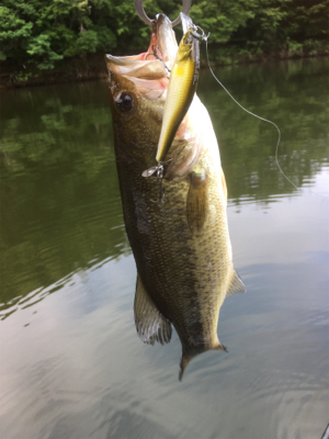 そろそろ厳しい季節