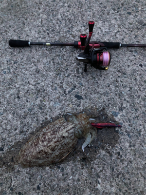 仕事帰りのエギング！